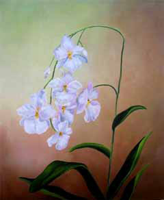 Orqudea - 50 x 60 - OST - 2009